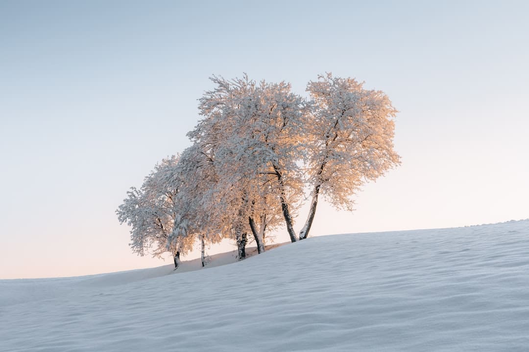 http://n.sinaimg.cn/news/1_img/upload/2b0c102b/w1200h790/20180307/AUtb-fxipenp1316144.jpg?zdy